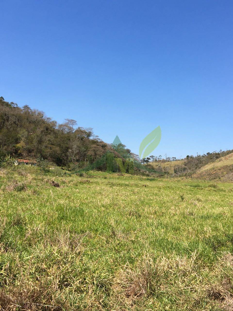 Fazenda, 436 hectares - Foto 47