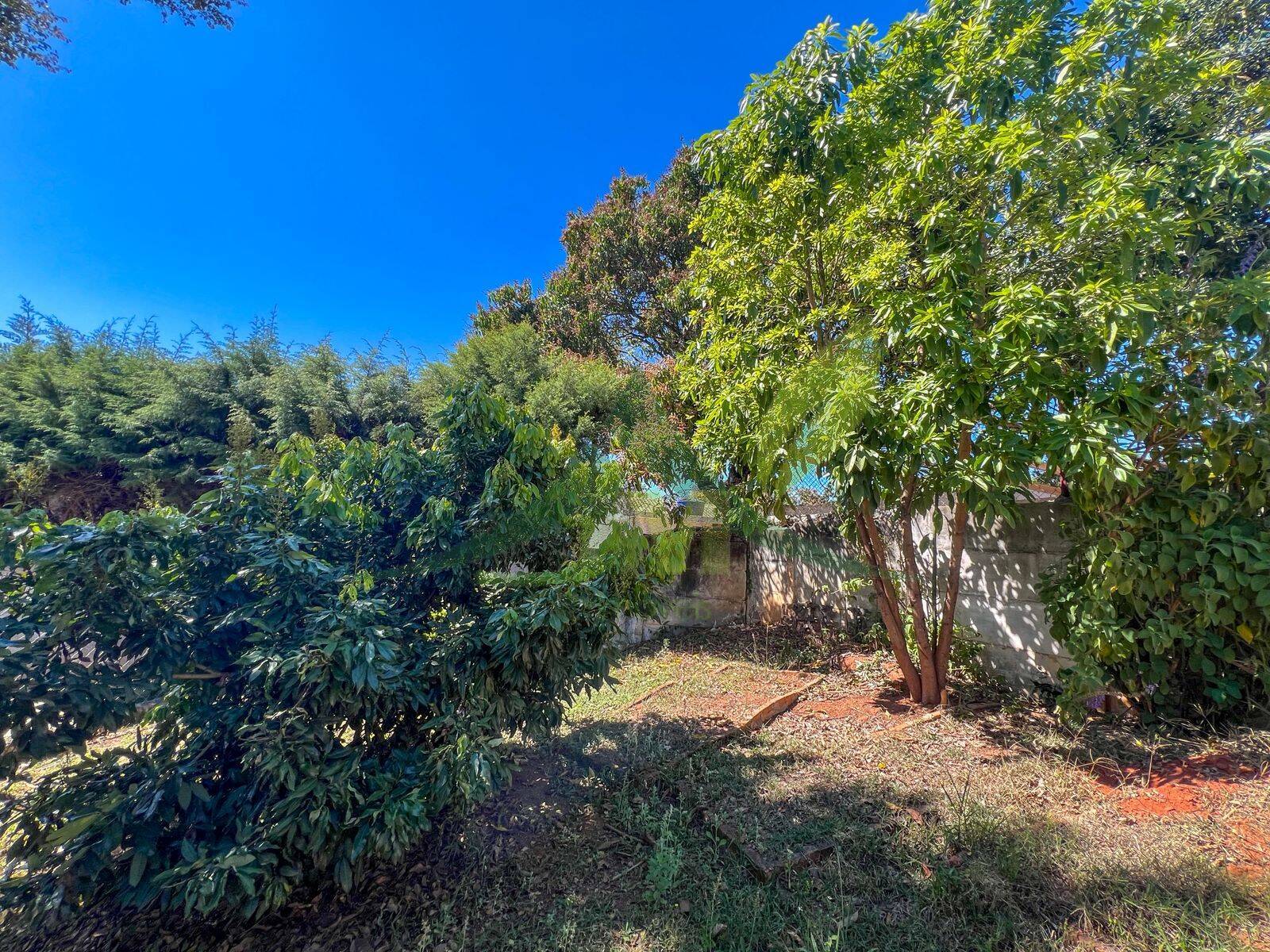 Casa, 3 quartos, 1578 m² - Foto 28