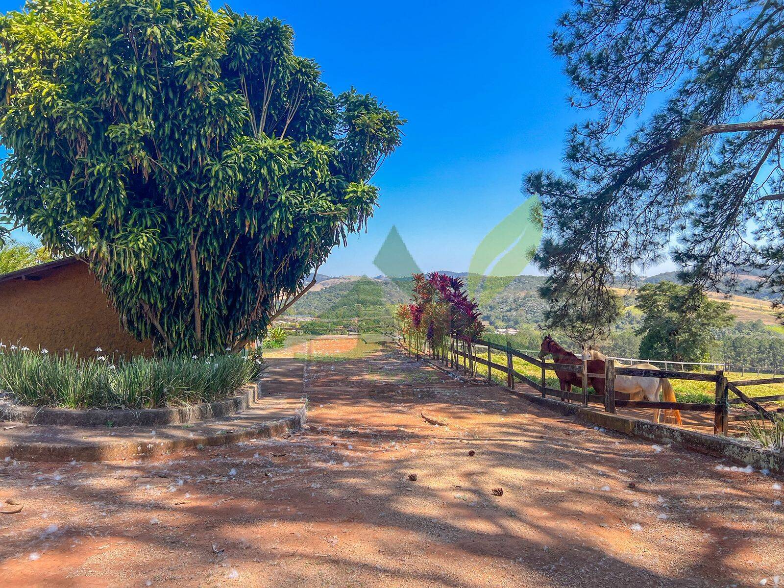 Sítio, 9 quartos, 34 hectares - Foto 9