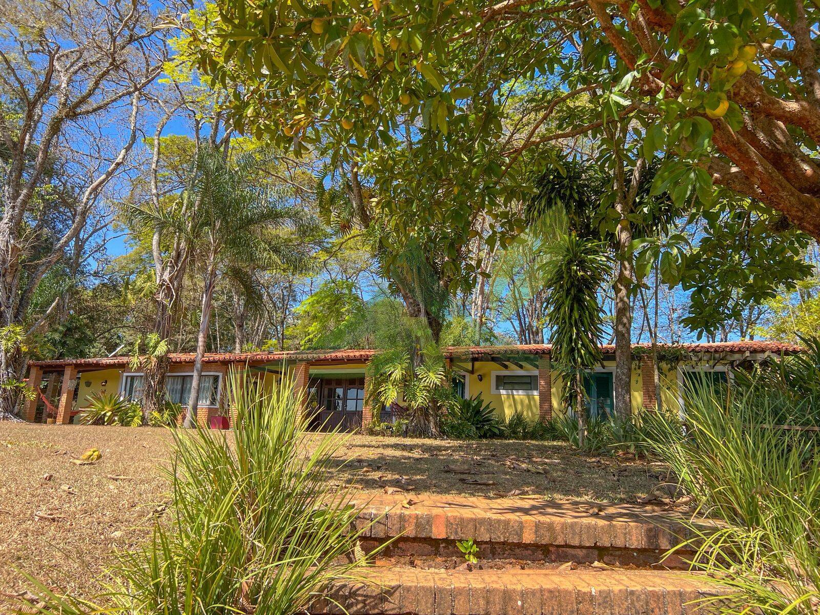 Sítio, 9 quartos, 34 hectares - Foto 66