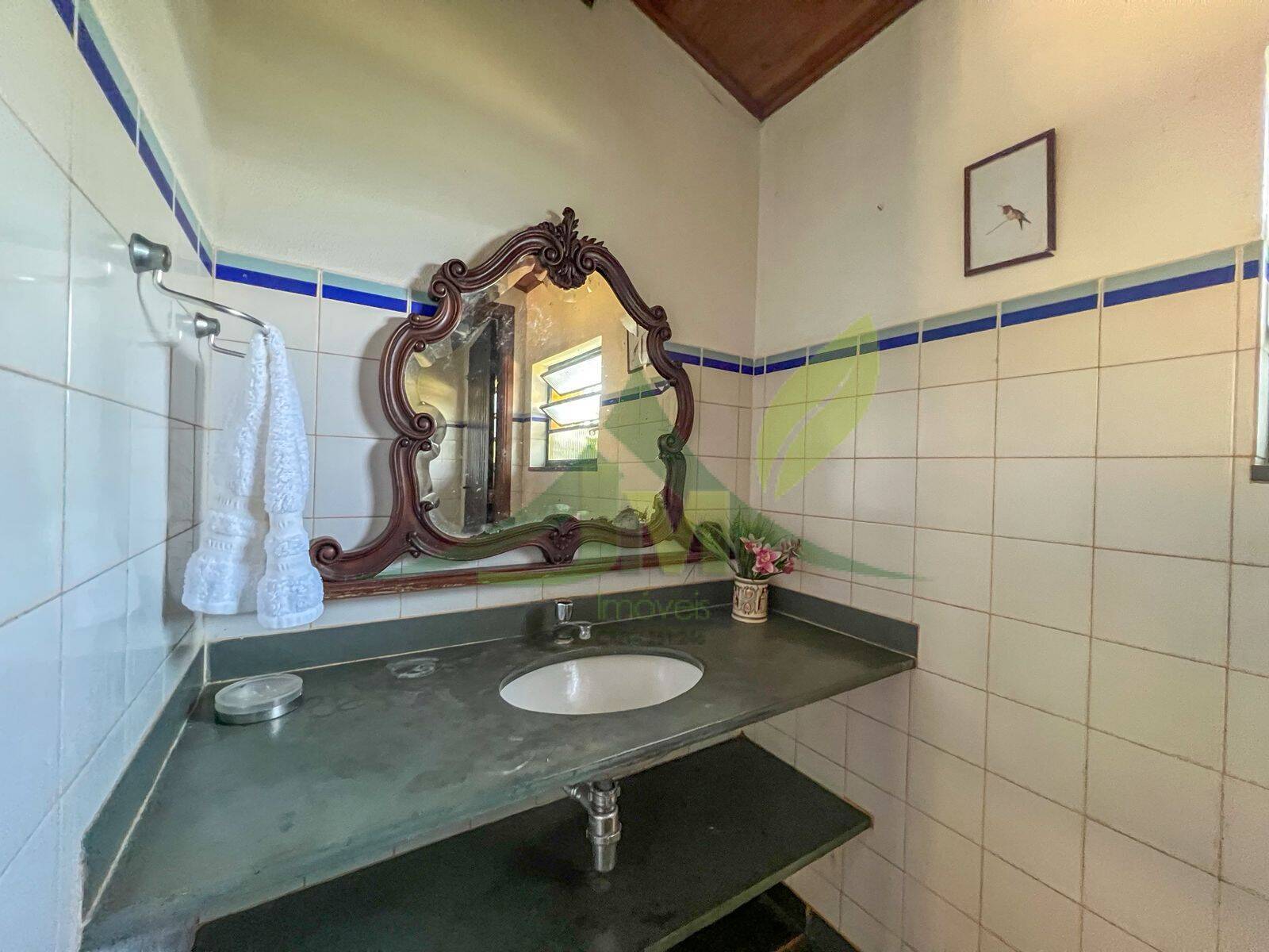 Sítio, 9 quartos, 34 hectares - Foto 74