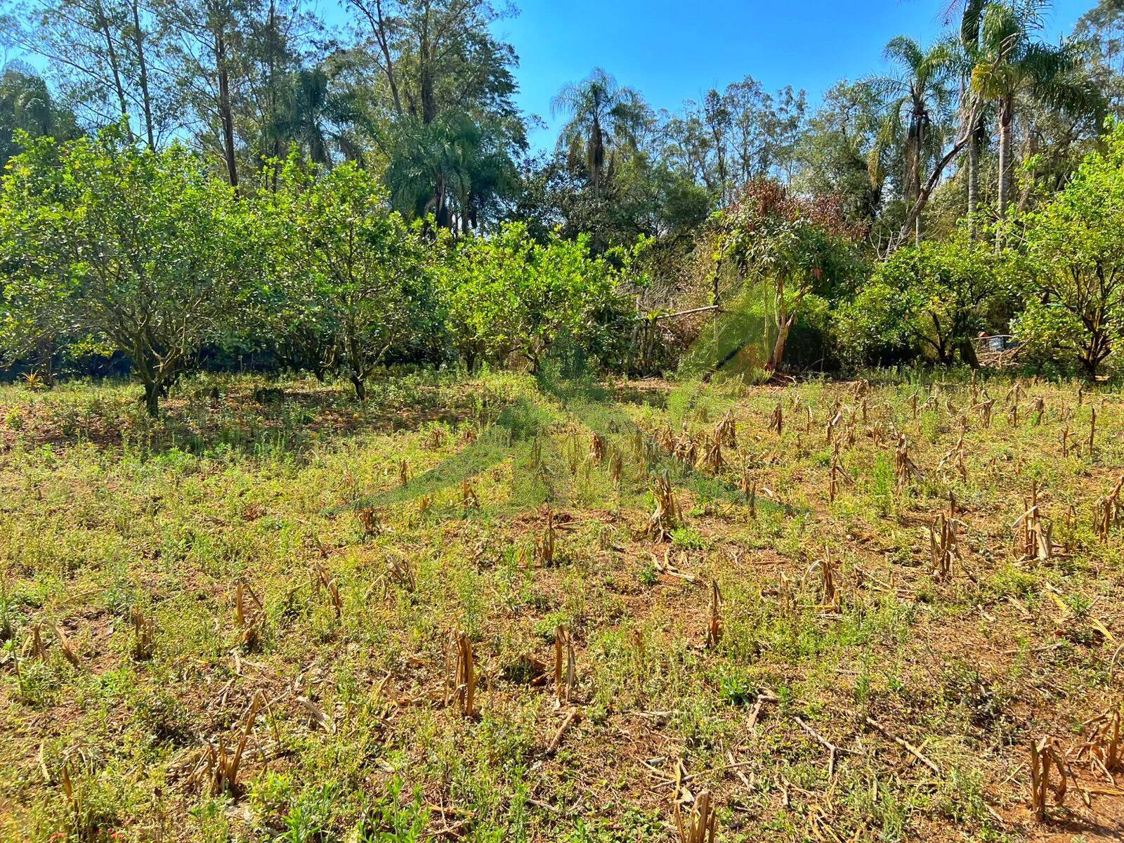 Sítio, 3 quartos, 12 hectares - Foto 15