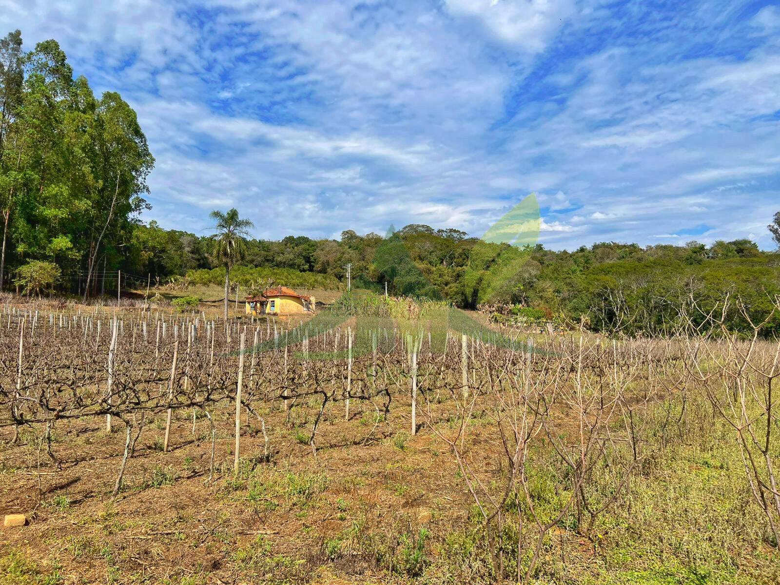 Sítio, 3 quartos, 12 hectares - Foto 14