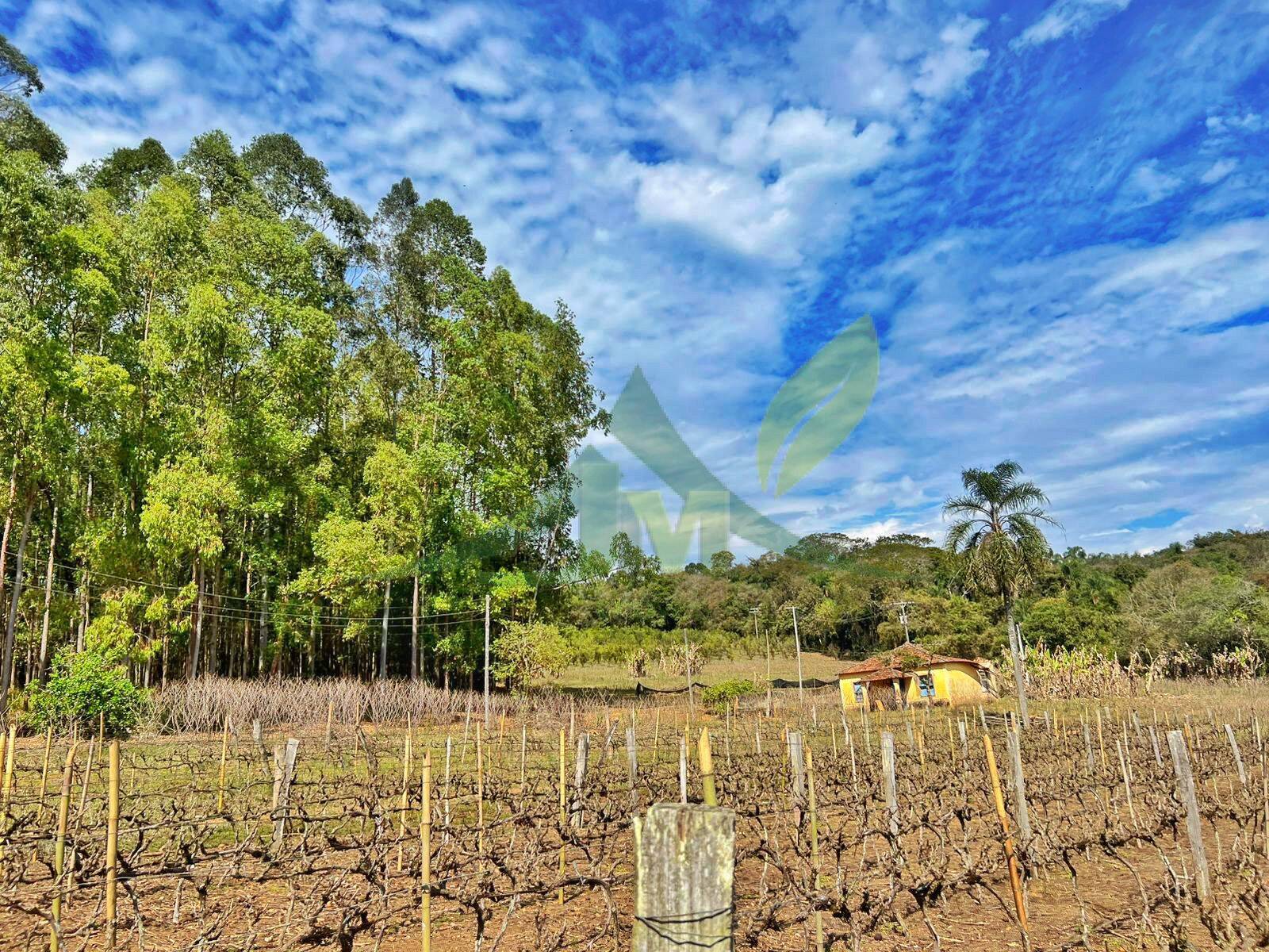 Sítio, 3 quartos, 12 hectares - Foto 16
