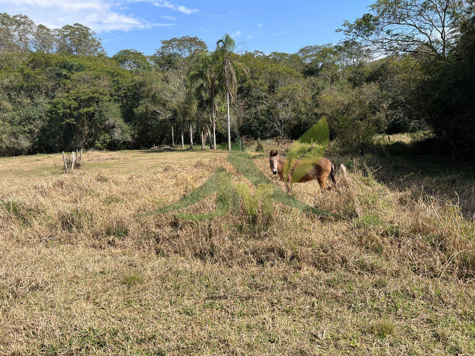 Sítio, 3 quartos, 12 hectares - Foto 25
