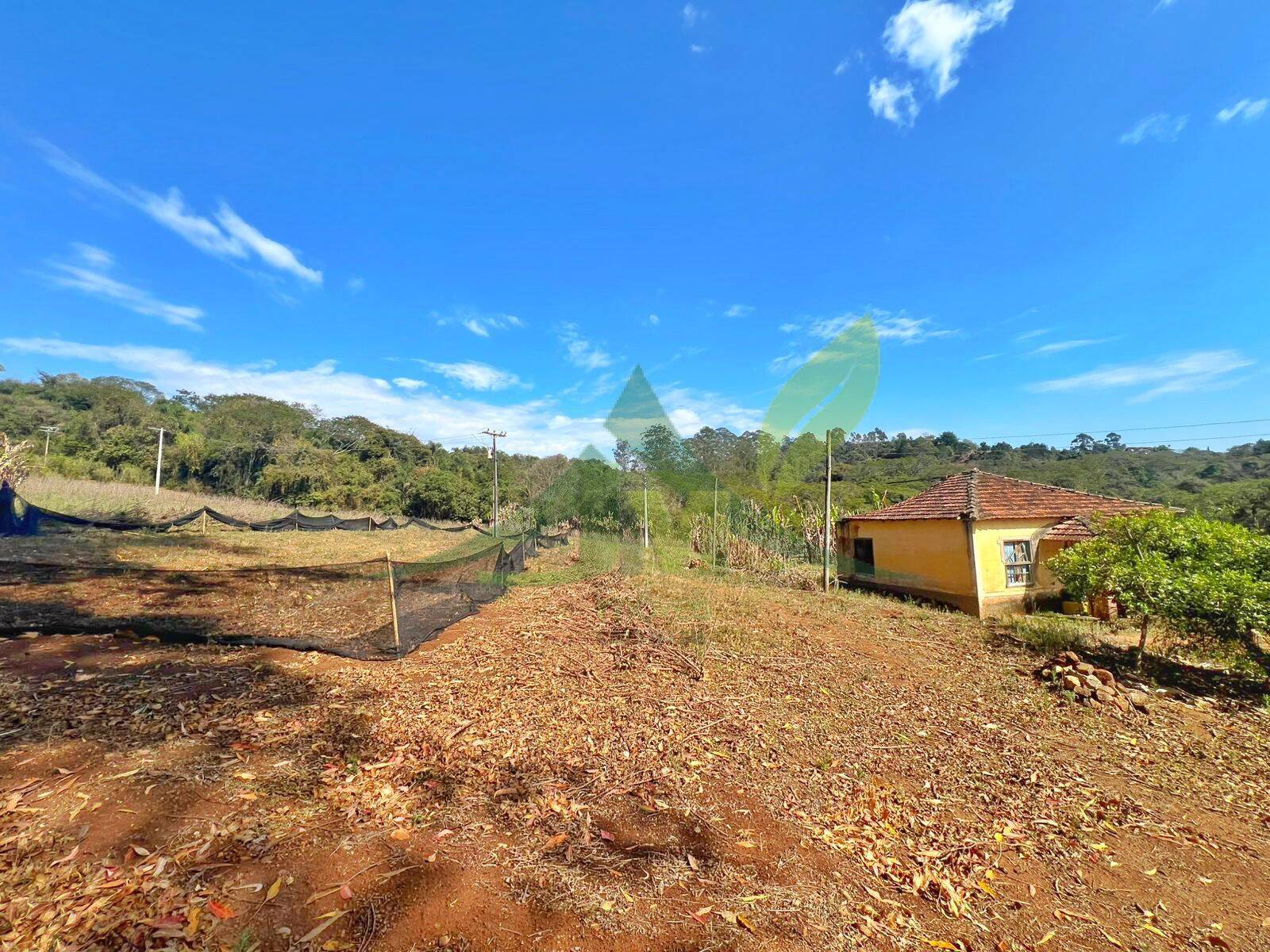 Sítio, 3 quartos, 12 hectares - Foto 27
