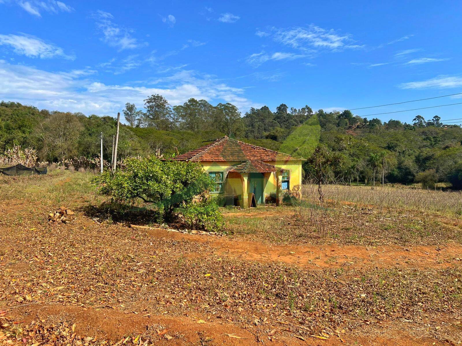 Sítio, 3 quartos, 12 hectares - Foto 26