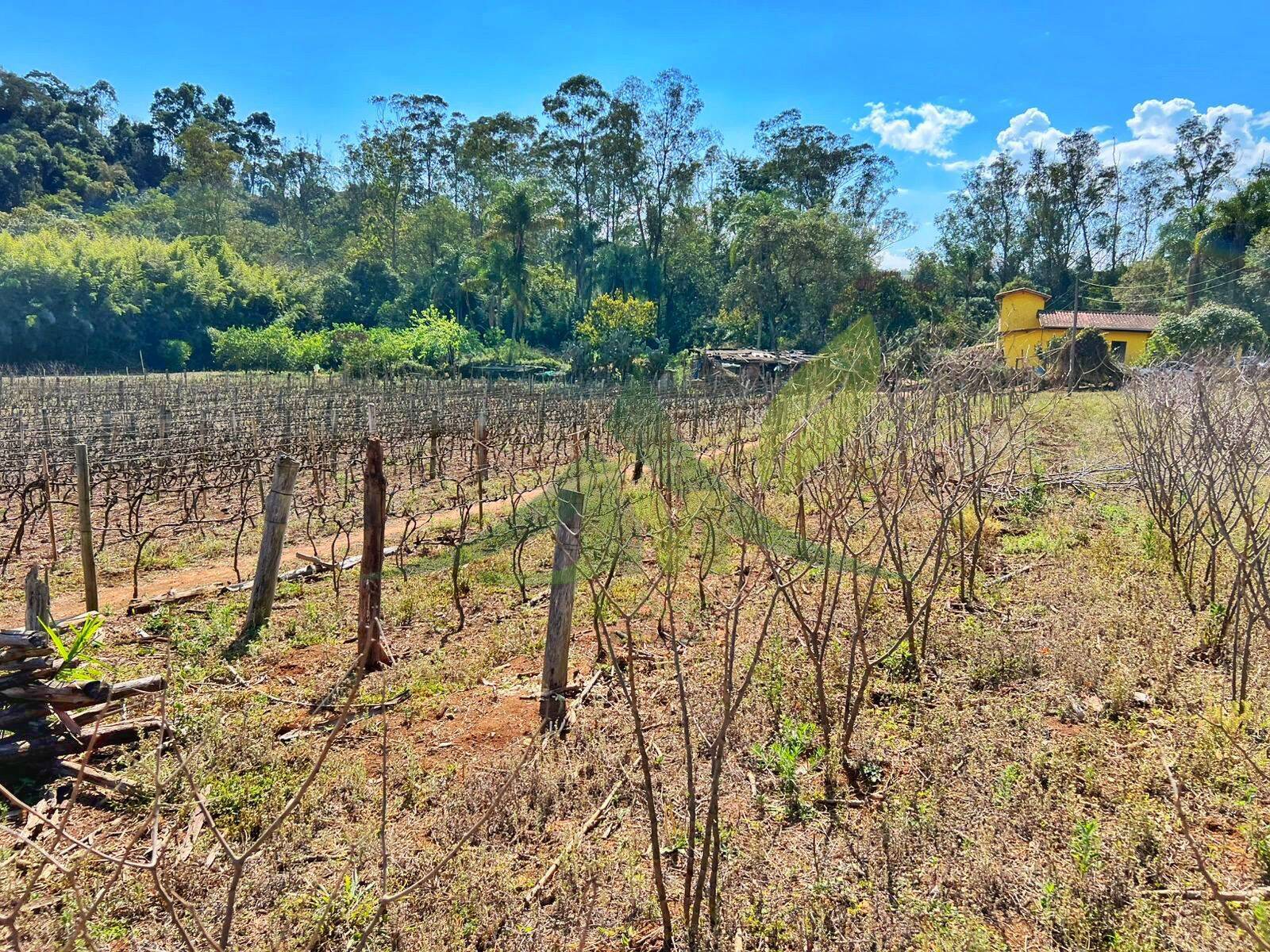 Sítio, 3 quartos, 12 hectares - Foto 33