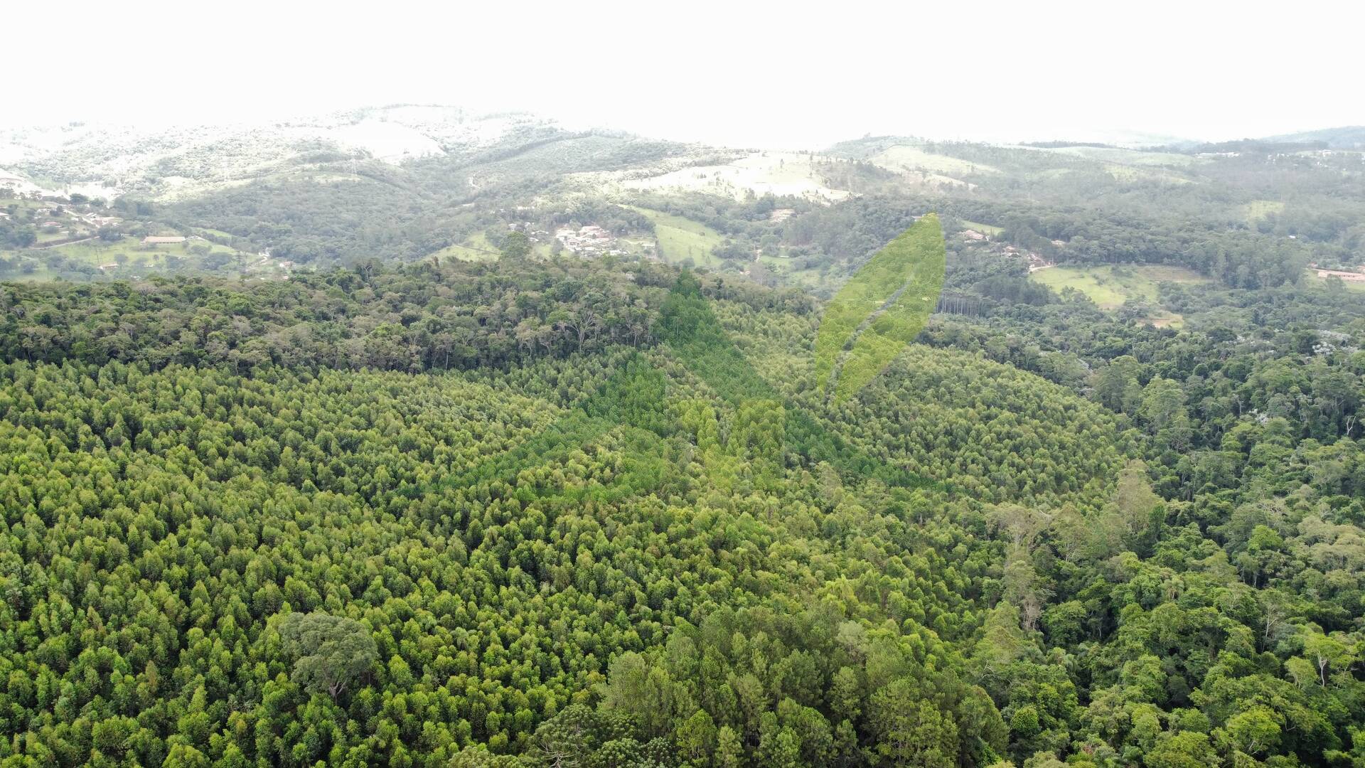 Terreno, 61 hectares - Foto 1