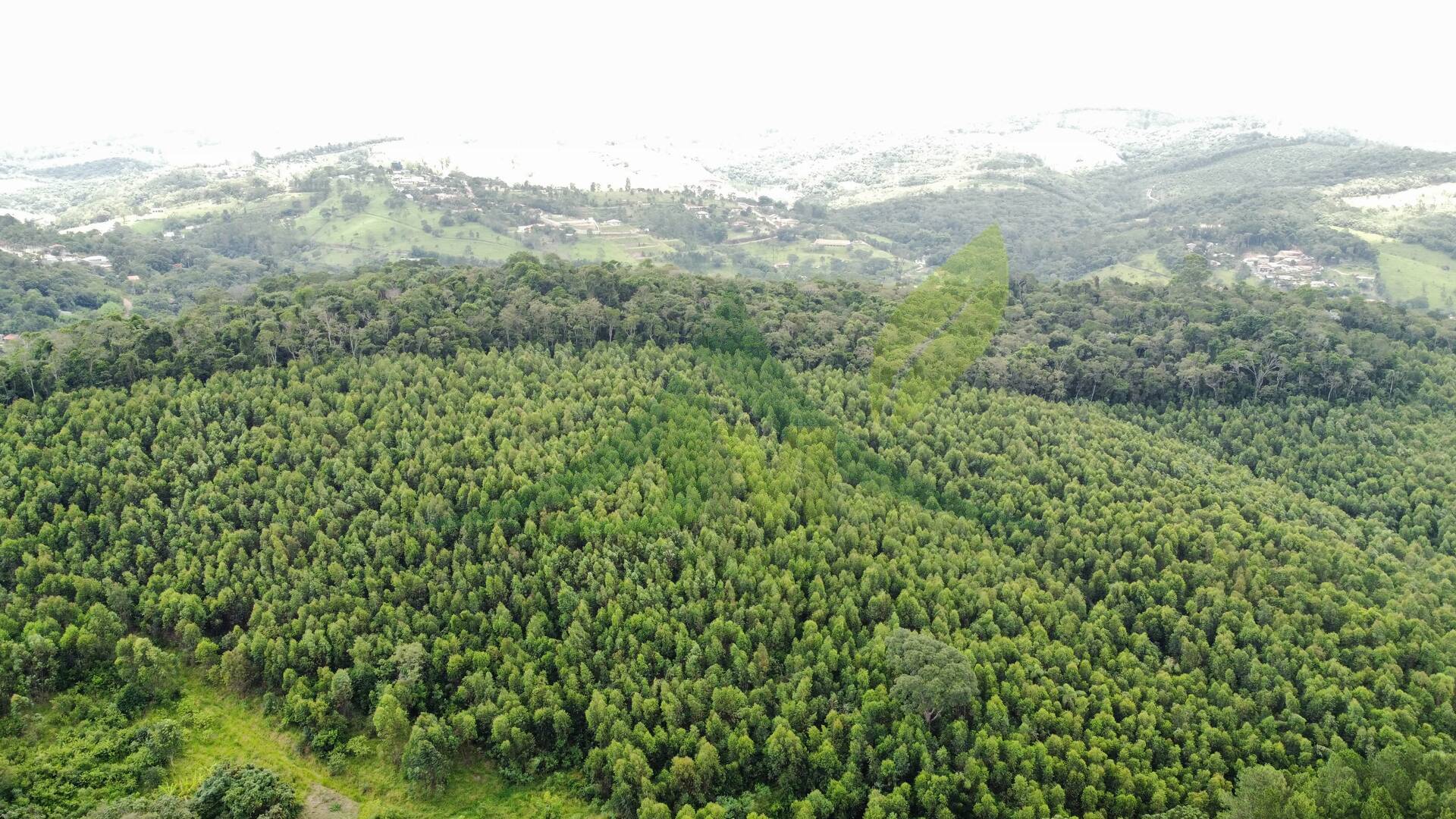 Terreno, 61 hectares - Foto 3