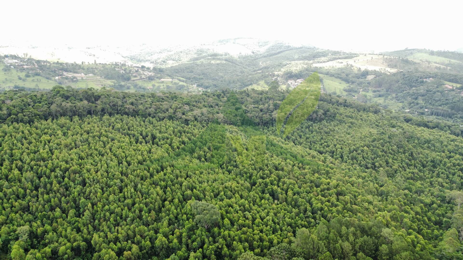 Terreno, 61 hectares - Foto 4