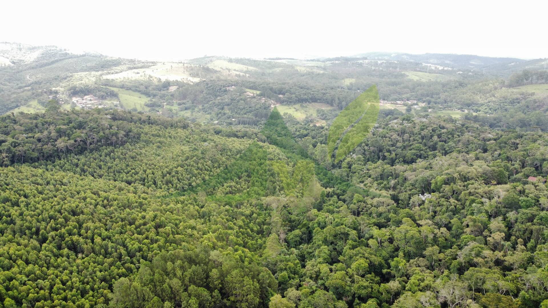 Terreno, 61 hectares - Foto 5