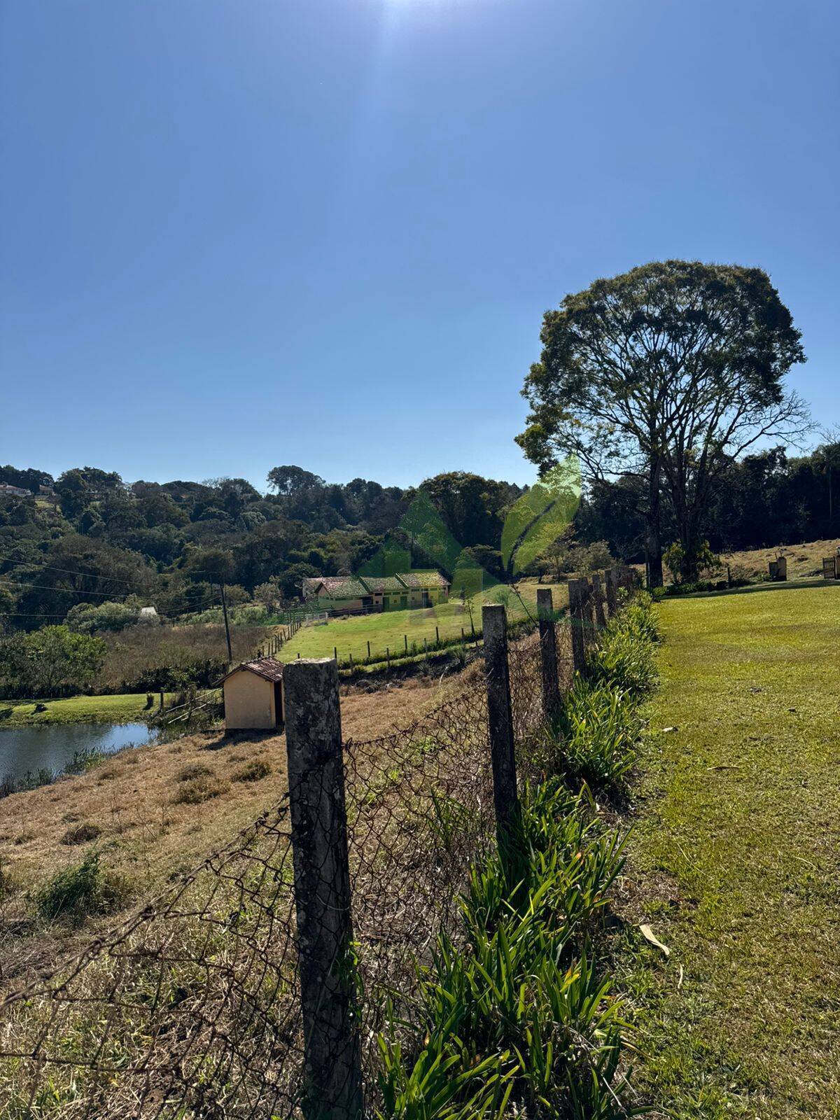 Fazenda, 116 hectares - Foto 6