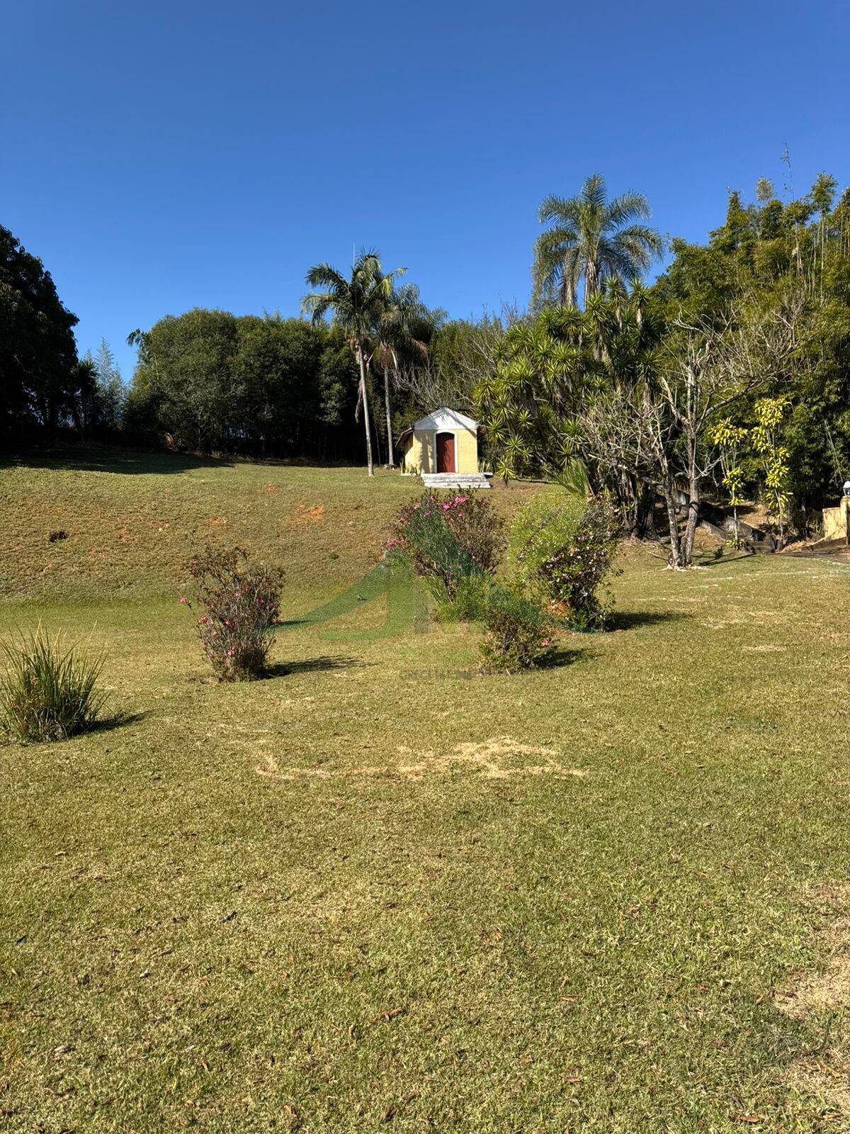 Fazenda, 116 hectares - Foto 7
