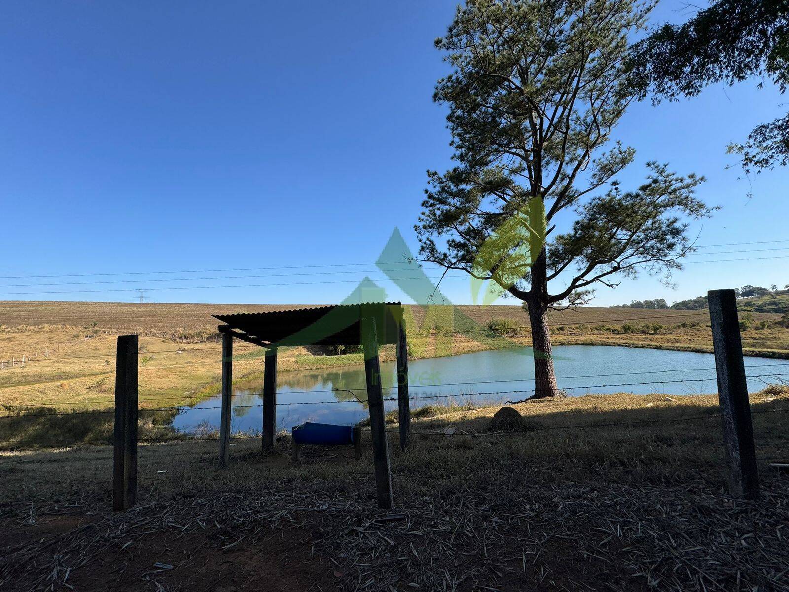 Fazenda, 116 hectares - Foto 10