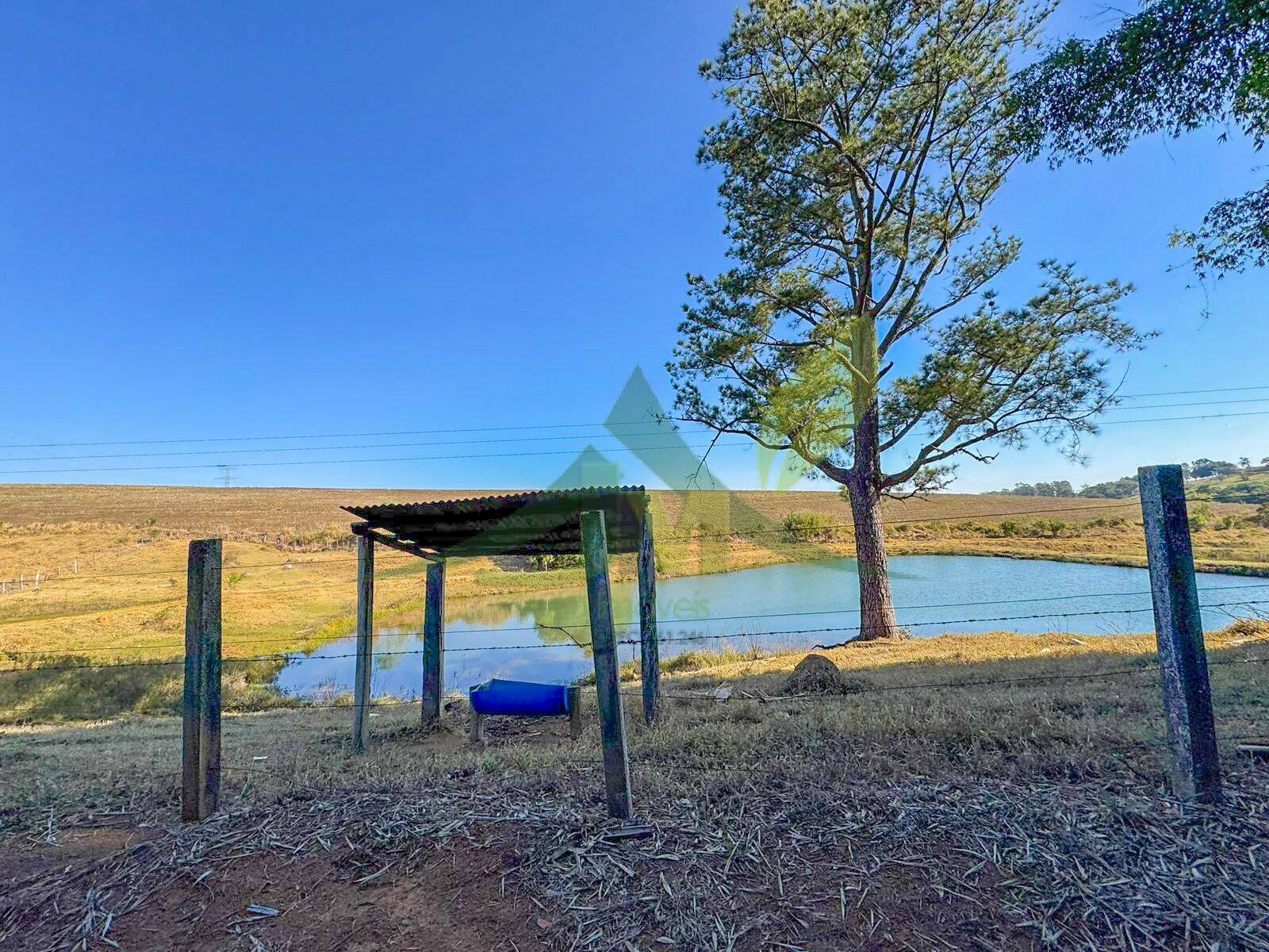 Fazenda, 116 hectares - Foto 13