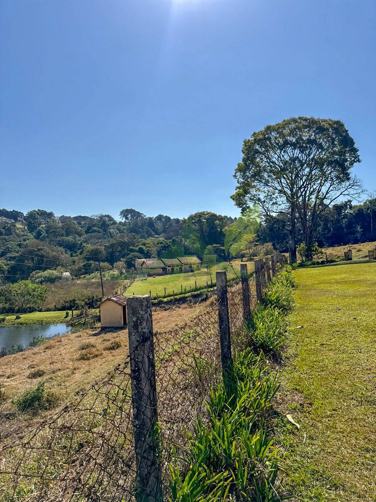 Fazenda, 116 hectares - Foto 15