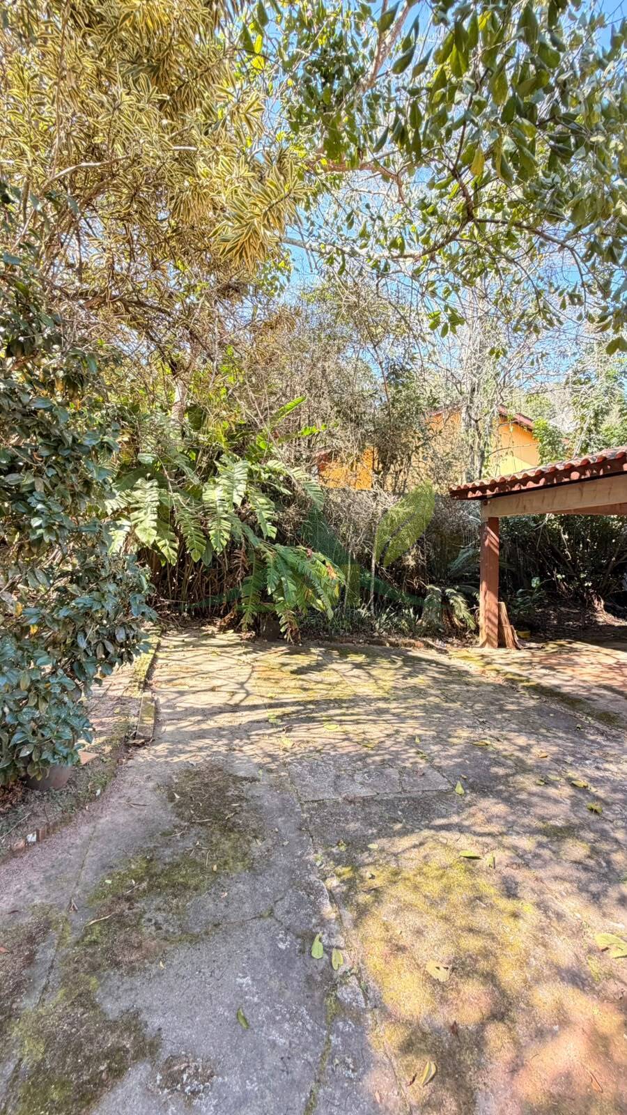 Sítio, 4 quartos, 700 m² - Foto 19