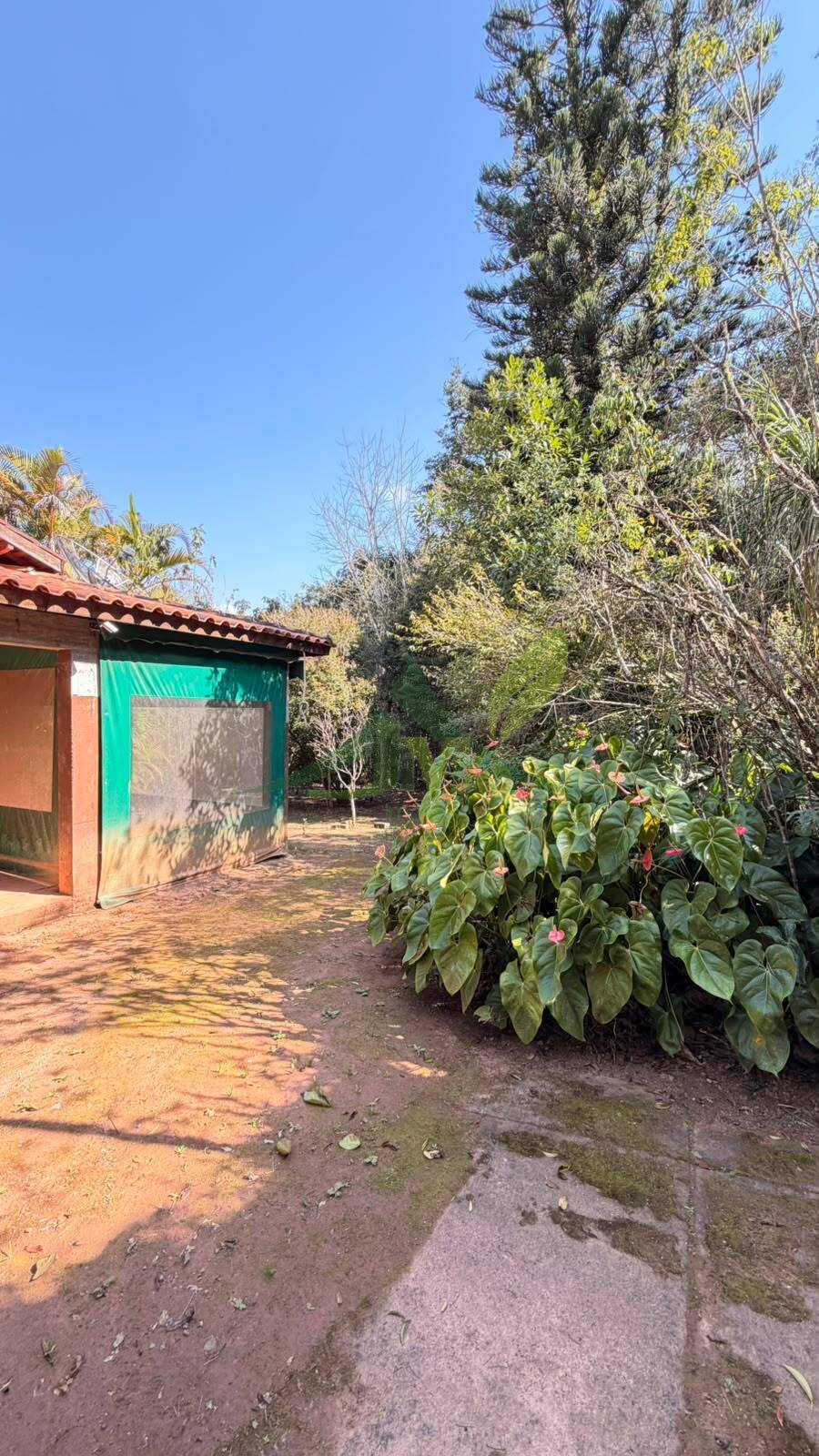 Sítio, 4 quartos, 700 m² - Foto 20