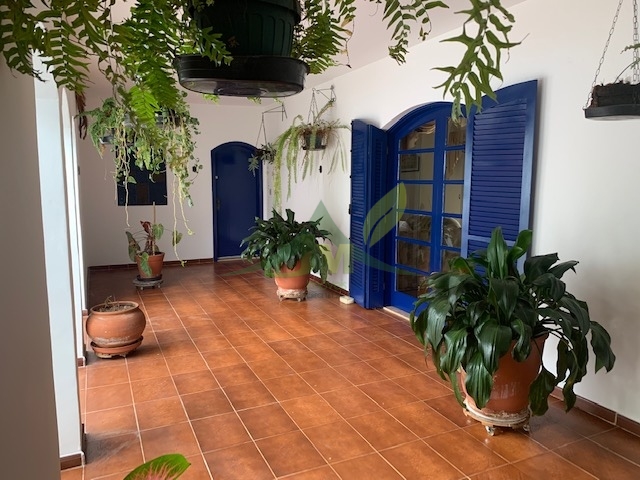 Sítio, 3 quartos, 7400 m² - Foto 5