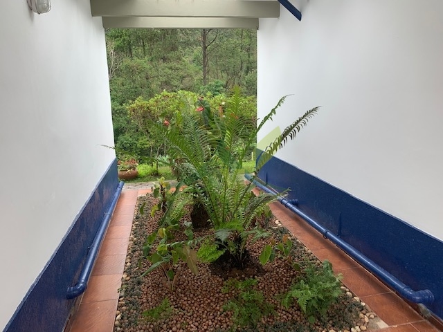 Sítio, 3 quartos, 7400 m² - Foto 6
