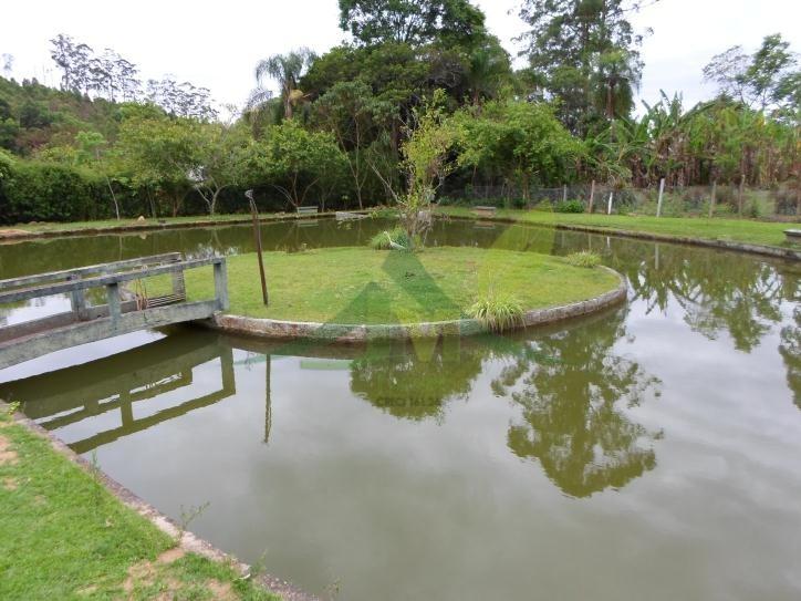 Sítio, 5 quartos, 3 hectares - Foto 3