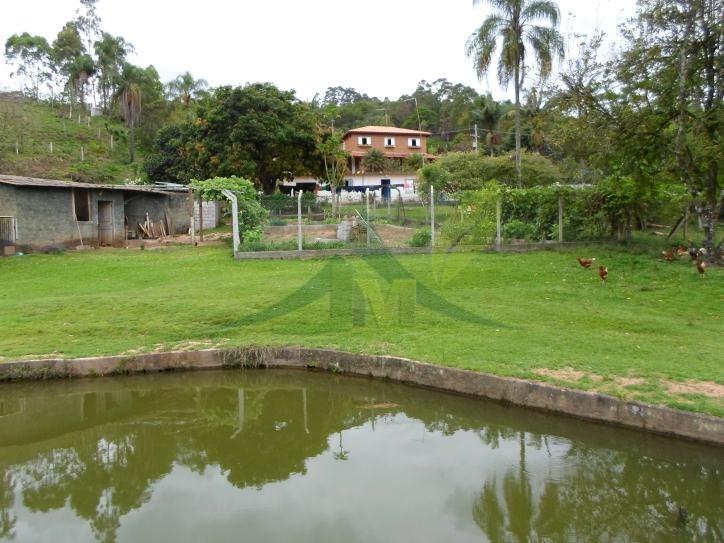 Sítio, 5 quartos, 3 hectares - Foto 22