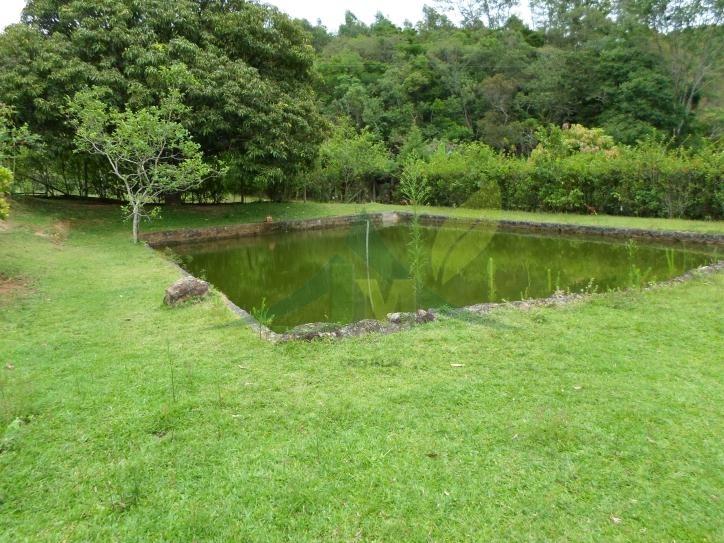 Sítio, 5 quartos, 3 hectares - Foto 24
