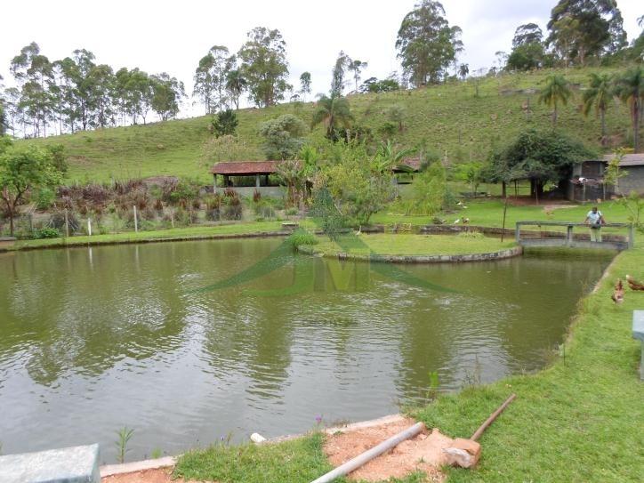Sítio, 5 quartos, 3 hectares - Foto 26