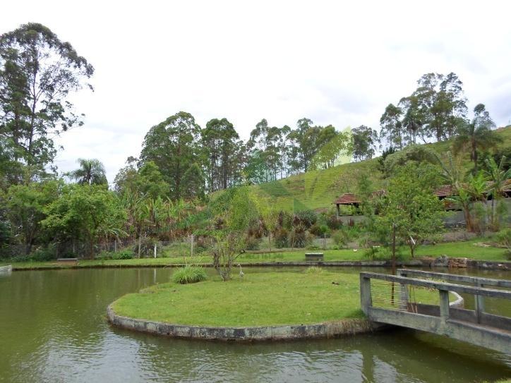Sítio, 5 quartos, 3 hectares - Foto 27