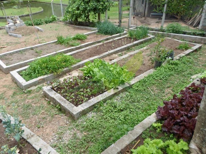 Sítio, 5 quartos, 3 hectares - Foto 29