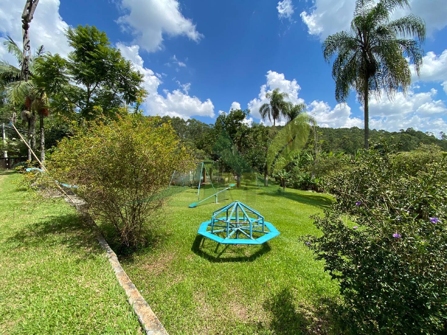 Sítio, 5 quartos, 3 hectares - Foto 39