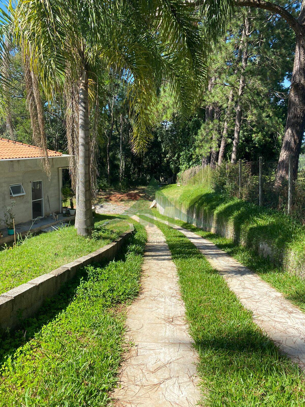 Sítio, 6 quartos, 3140 m² - Foto 61