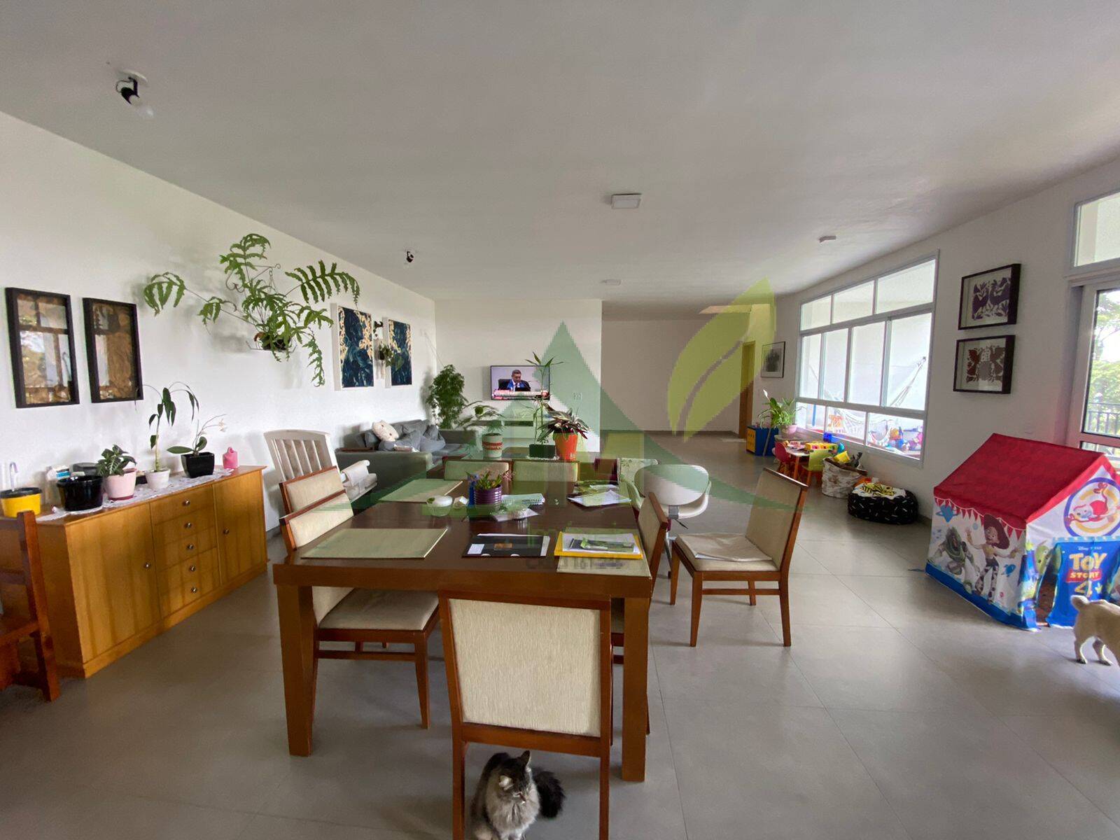 Sítio, 6 quartos, 3140 m² - Foto 19