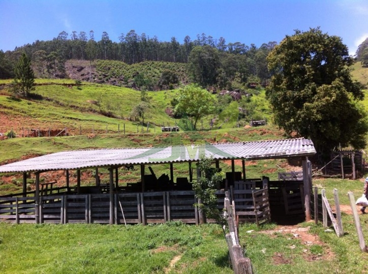 Fazenda, 116 hectares - Foto 4