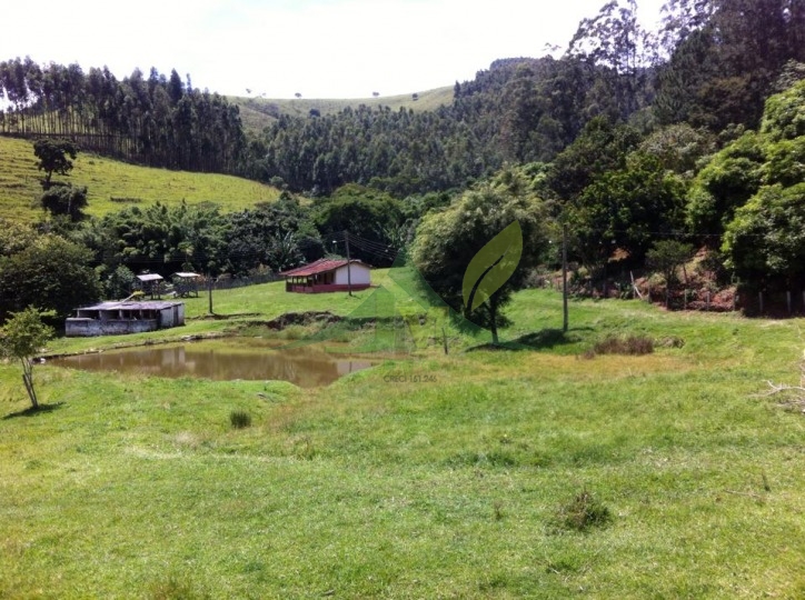 Fazenda, 116 hectares - Foto 7