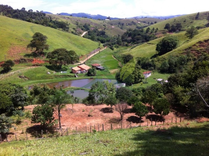 Fazenda, 116 hectares - Foto 1