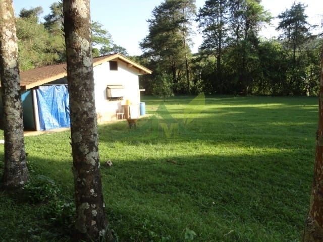 Sítio, 3 quartos, 4 hectares - Foto 5