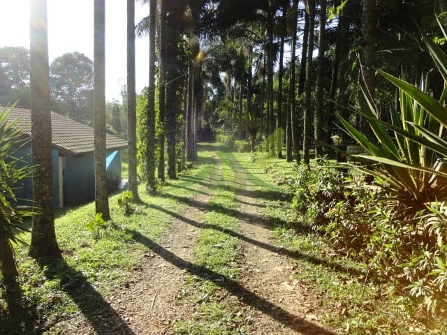 Sítio, 3 quartos, 4 hectares - Foto 6