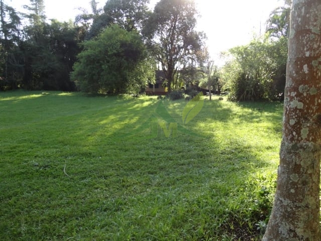 Sítio, 3 quartos, 4 hectares - Foto 8