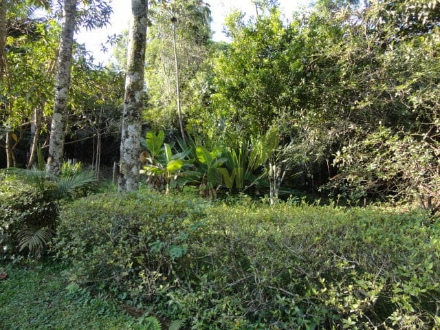 Sítio, 3 quartos, 4 hectares - Foto 12
