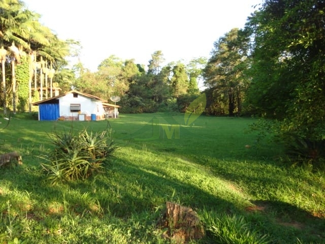 Sítio, 3 quartos, 4 hectares - Foto 17
