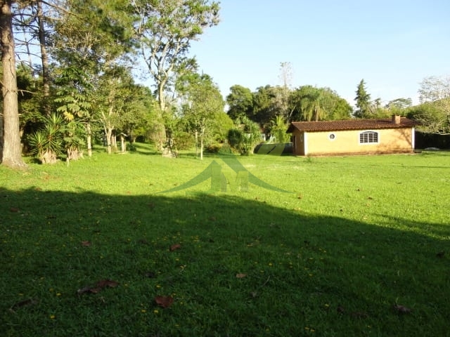 Sítio, 3 quartos, 4 hectares - Foto 20
