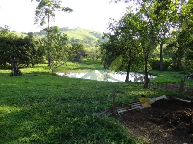 Sítio, 3 quartos, 4 hectares - Foto 25