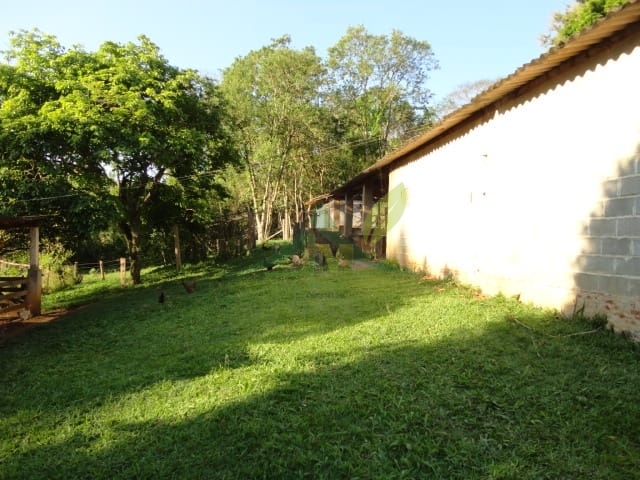 Sítio, 3 quartos, 4 hectares - Foto 26