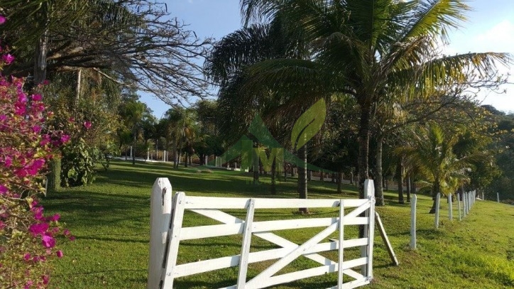 Sítio, 3 quartos, 3 hectares - Foto 8