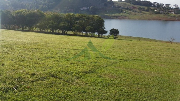 Sítio, 3 quartos, 3 hectares - Foto 29