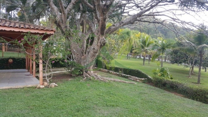 Sítio, 3 quartos, 3 hectares - Foto 36
