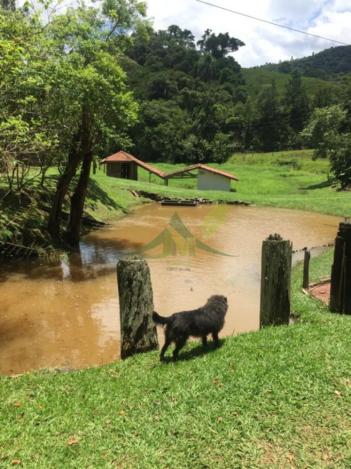 Sítio, 5 quartos, 27 hectares - Foto 6