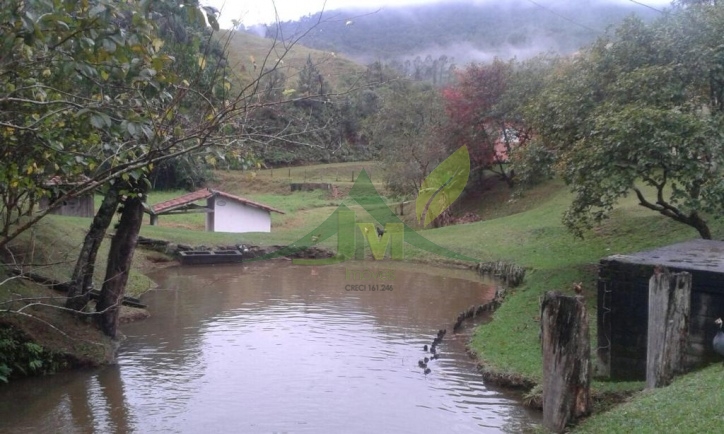 Sítio, 5 quartos, 27 hectares - Foto 17